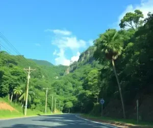 interdição da alça do Vidoca